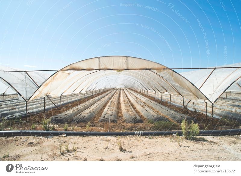 Gewächshaus ohne Pflanzen Gemüse Garten Gartenarbeit Industrie Business Natur Wachstum grün Perspektive Ackerbau Kinderzimmer Bauernhof Gartenbau