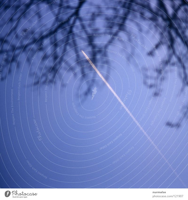 in den Busch Kondenswasser Kondensstreifen Flugzeug Kapitän Abgas Stratosphäre leicht weiß Himmel Minirock Uniform Stewardess Wunsch besitzen eng unmöglich