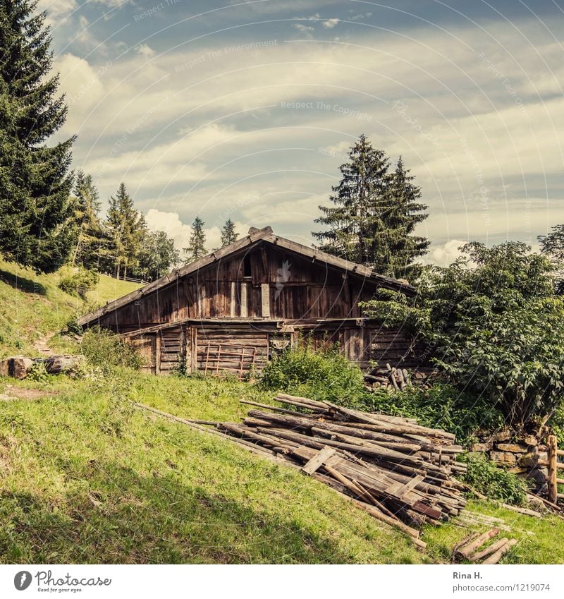 Idylle Natur Landschaft Wolken Sommer Wald Hügel Alpen Berge u. Gebirge Südtirol Hütte Gebäude authentisch natürlich Meran Holzhaus Berghang rustikal Farbfoto