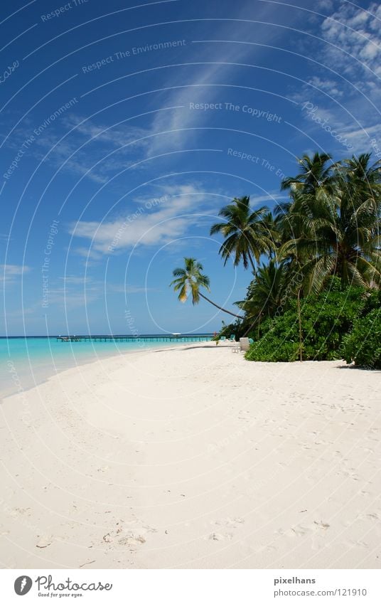 Mach doch mal blau!!! ruhig Ferien & Urlaub & Reisen Ferne Sommer Strand Meer Insel Sand Wasser Wolken Horizont Wärme Sträucher Küste Fußspur heiß grau grün