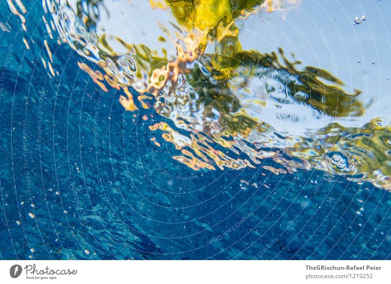 Pool Party I Wasser blau gelb grün schwarz Wellen unruhig Schwache Tiefenschärfe Palme Froschperspektive Schwimmbad Erholung Schwimmen & Baden Luftblase