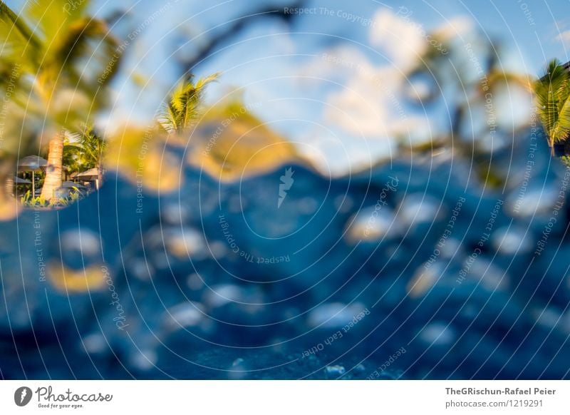 Atemlos durch den Pool Wasser Wassertropfen blau gelb grün schwarz türkis weiß Unterwasseraufnahme Unterwasserkamera Schwimmbad Wellen Strukturen & Formen Palme