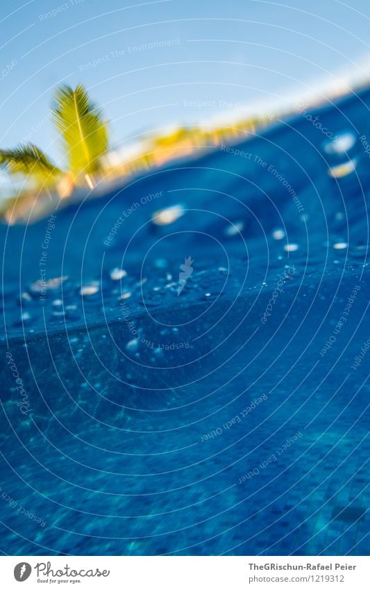 Sinking exotisch Freude Wasser blau gelb grün schwarz türkis weiß Erfrischung untergehen Neigung Palme Schwimmbad Schwimmen & Baden kühlen Erholung