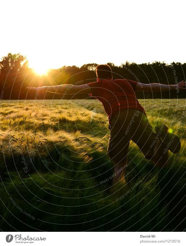 Der Sonne entgegen elegant Freude Glück Leben harmonisch Wohlgefühl Sinnesorgane Ferien & Urlaub & Reisen Ausflug Ferne Freiheit Sommer Mensch maskulin Kindheit