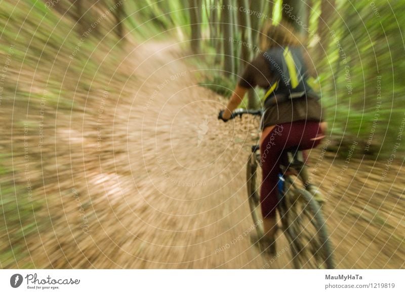 Radfahrer fahren Freude Erholung Freizeit & Hobby Abenteuer Sommer Berge u. Gebirge Fahrradfahren Mann Erwachsene Baum Hügel Felsen Wege & Pfade Fitness Reiter