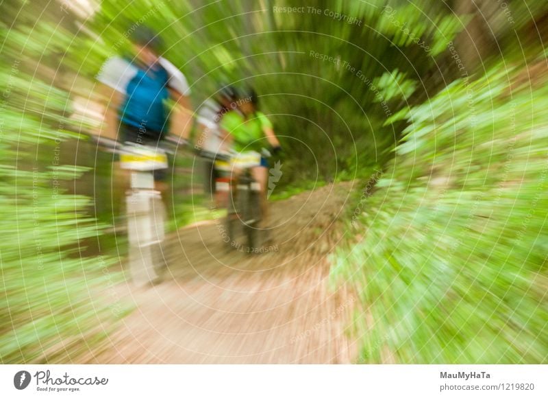 Radfahrer fahren Freude Erholung Freizeit & Hobby Abenteuer Sommer Berge u. Gebirge Fahrradfahren Mann Erwachsene Baum Hügel Felsen Wege & Pfade Fitness Reiter