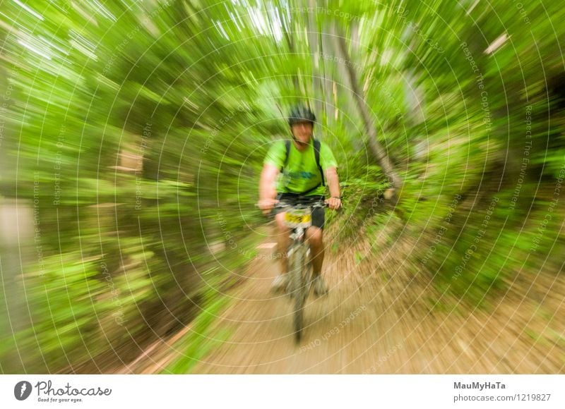 Radfahrer fahren Freude Erholung Freizeit & Hobby Abenteuer Sommer Berge u. Gebirge Fahrradfahren Mann Erwachsene Baum Hügel Felsen Wege & Pfade Fitness Reiter