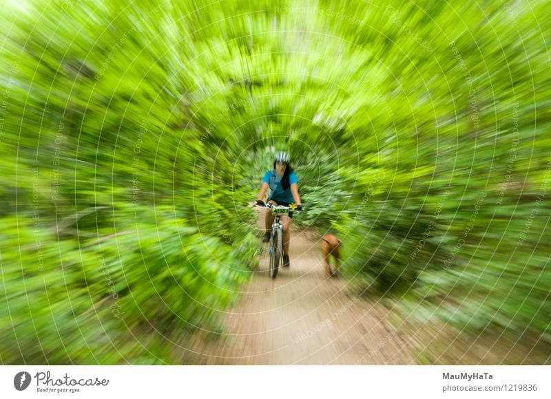 Radfahrer fahren Freude Erholung Freizeit & Hobby Abenteuer Sommer Berge u. Gebirge Fahrradfahren Mann Erwachsene Baum Hügel Felsen Wege & Pfade Fitness Reiter