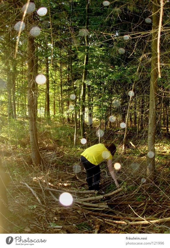 ewige suche nach dem ewigen etwas! Herbst Einsamkeit grün Wald durcheinander Geister u. Gespenster Lichtspiel Suche Freundlichkeit Ast Schönes Wetter Punkt