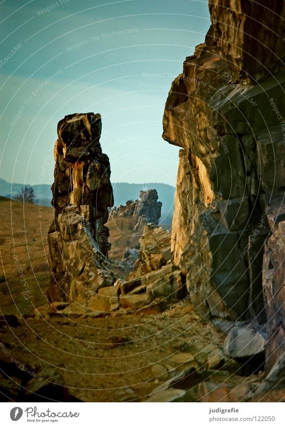 Teufelsmauer Sandstein Macht Sediment Quarz Kalk Kreidezeit Farbe Berge u. Gebirge Harz harzvorland weddersleben Felsen Stein Linie Reihe Natur Landschaft