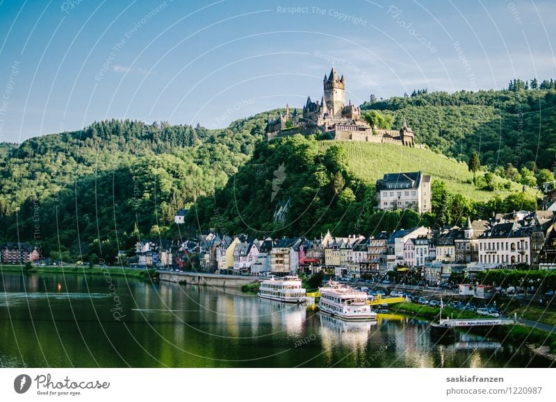 Cochem Umwelt Natur Landschaft Wasser Himmel Wolkenloser Himmel Sommer Schönes Wetter Wald Hügel Flussufer Dorf Haus Burg oder Schloss Sehenswürdigkeit