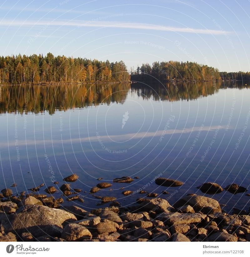 Stilles Wasser See Baum Wolken Schleier Reflexion & Spiegelung Strand ruhig Streifen grün Herbst Wellen Küste Wald Frieden Insel Stein Himmel blau armsjön