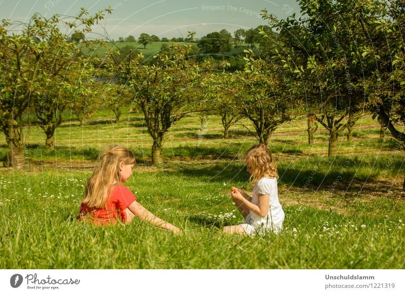 Schneeweißchen und Rosenrot Spielen Kinderspiel Sommer Garten Mädchen Geschwister Freundschaft Kindheit 2 Mensch 3-8 Jahre Natur Landschaft Schönes Wetter Baum