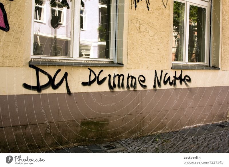 Du dumme Nutte Fassade Haus Wohnhaus Graffiti Schriftzeichen schreiben Beleidigung beschmiert schimpfen Schimpfwort Gesichtsausdruck Ausdruck kraftausdruck