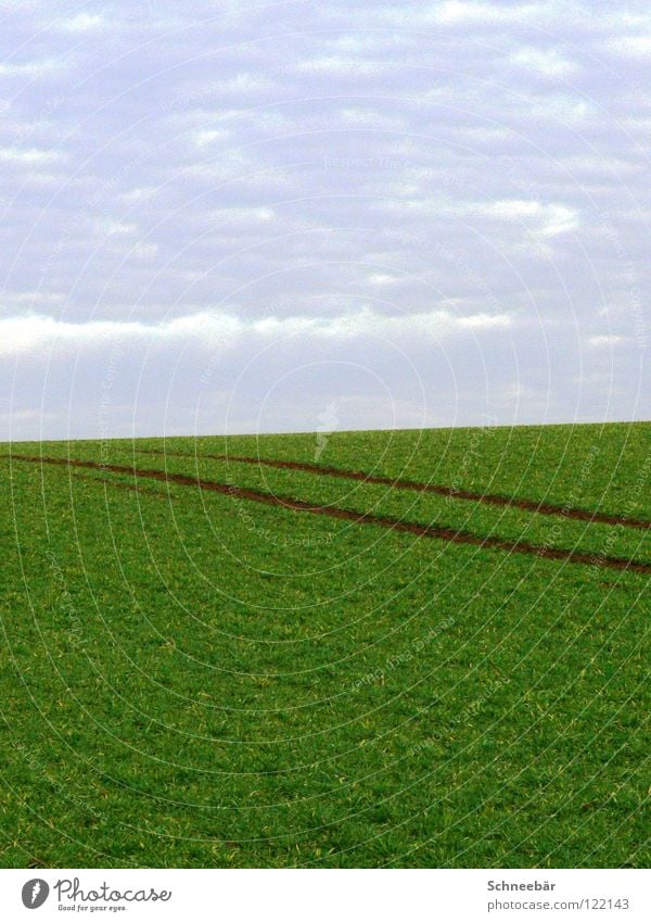 Reifenspuren im Frühling Ferne Feld ländlich Maschine leer 2 Horizont Unendlichkeit Landschaft grün Himmel auf dem Land Spuren Pflanze Natur Langeweile Linie