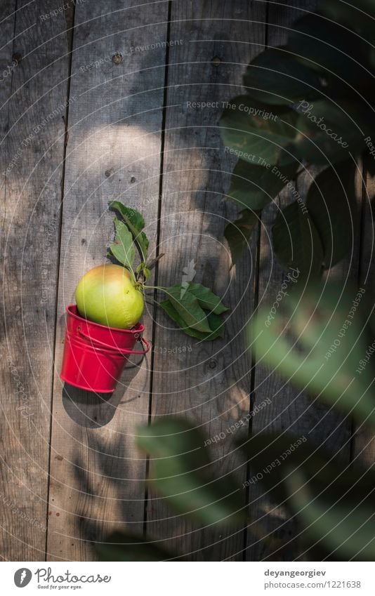 Apple auf Holzboden Frucht Apfel Diät Sommer Garten Gartenarbeit Natur Pflanze Herbst Baum Blatt Wachstum frisch lecker natürlich saftig grün rot Farbe Ast