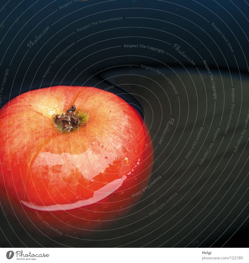 roter Apfel schwimmt im Wasser Fass fallen nass tauchen lecker süß saftig rund gelb braun schwarz Blüte Färbung Licht Reflexion & Spiegelung Linie knackig