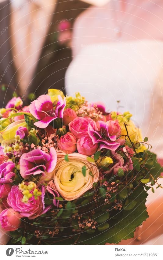 Ja, ich will Mensch Paar Partner Pflanze Blume Rose Blatt Blüte schön grün rosa Glück Blumenstrauß Ehe Hochzeit Farbfoto Innenaufnahme Nahaufnahme