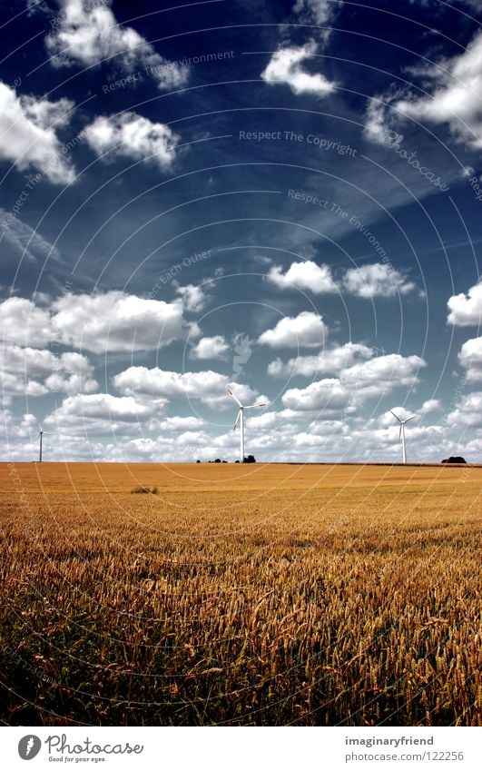 feld mit windrädern Feld Kornfeld Landwirtschaft Gerste Weizen Roggen Sommer Wolken Himmel Länder Elektrizität Wissenschaften Kraft Getreide Landschaft clouds