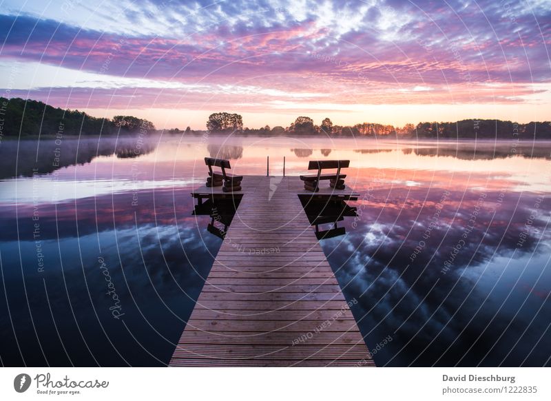 Draußen am See Ferien & Urlaub & Reisen Abenteuer Ferne Sommerurlaub Landschaft Himmel Wolken Frühling Herbst Schönes Wetter Baum Küste Seeufer Flussufer blau