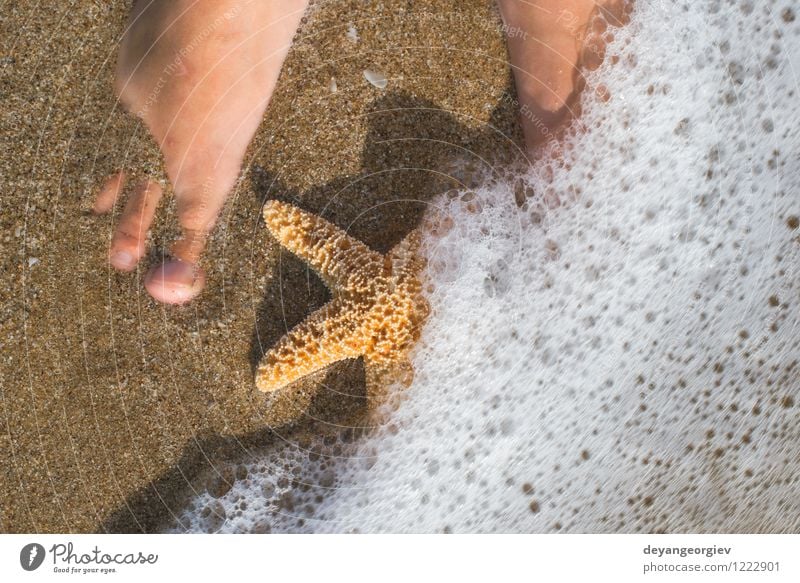 Seestern und Füße am Strand Design Körper Erholung Ferien & Urlaub & Reisen Sommer Sonne Meer Mensch Mädchen Frau Erwachsene Fuß Natur Sand Küste blau Wasser