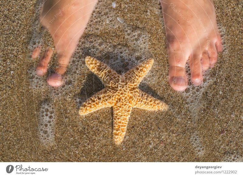 Seestern und Füße am Strand Design Körper Erholung Ferien & Urlaub & Reisen Sommer Sonne Meer Mensch Mädchen Frau Erwachsene Fuß Natur Sand Küste blau Wasser