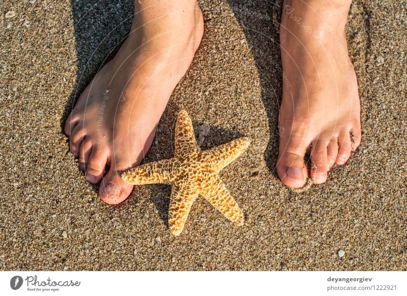 Seestern und Füße am Strand Design Körper Erholung Ferien & Urlaub & Reisen Sommer Sonne Meer Mensch Mädchen Frau Erwachsene Fuß Natur Sand Küste blau Wasser