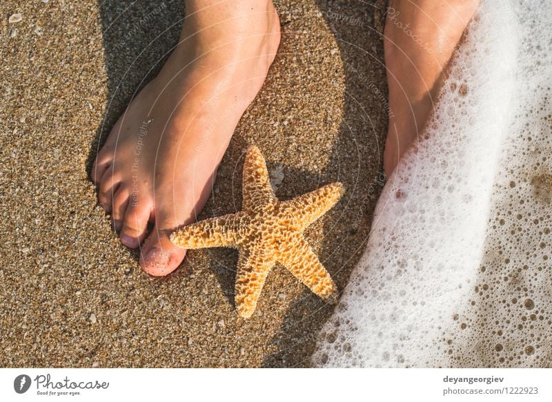 Seestern und Füße am Strand Design Körper Erholung Ferien & Urlaub & Reisen Sommer Sonne Meer Mensch Mädchen Frau Erwachsene Fuß Natur Sand Küste blau Wasser