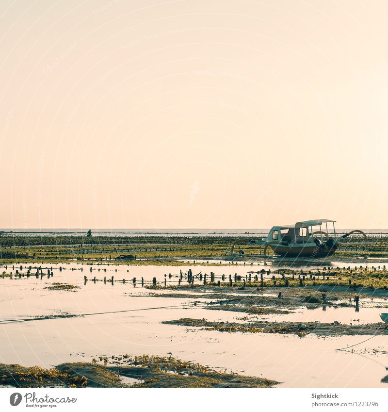 Gestrandet Landschaft Wasser Wolkenloser Himmel Horizont Sonnenaufgang Sonnenuntergang Sommer Schönes Wetter Strand Meer Indischer Ozean Fischerboot