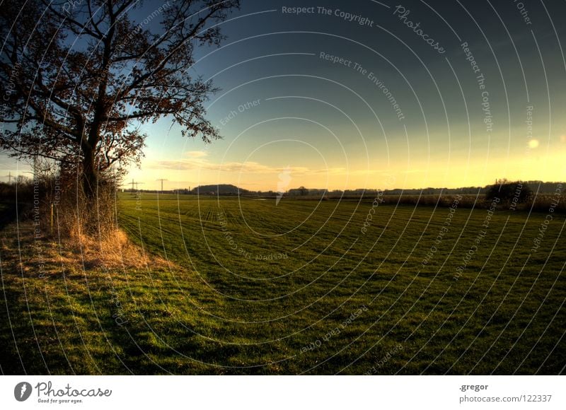 Feld gefällt. Wiese Jäger Landwirtschaft Ackerbau ruhig Horizont Ferne Baum Wegrand Waldlichtung Frieden Ranger Himmel Konzentration Weide Erde Pflugland