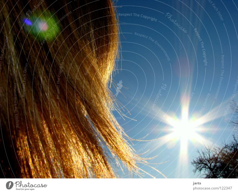 sonnenschein Sonne blond Frau Sonntag Sonnenstrahlen Himmel Himmelskörper & Weltall Himmmel blau Haare & Frisuren Blauer Himmel jarts