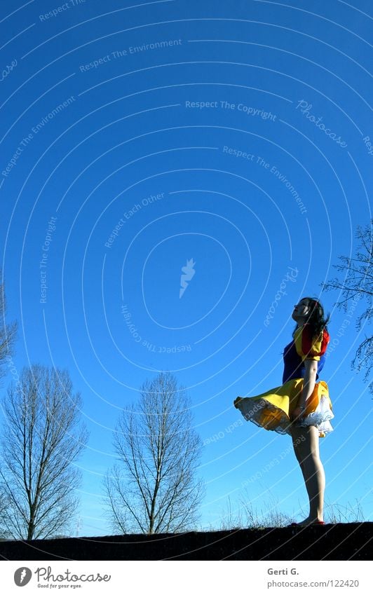 deliriously happy Frau Mädchen Kleid Schneewittchen Unterrock Wind stehen Blick Freude Strumpfhose Baum himmelblau himmlisch schön langhaarig schwarz