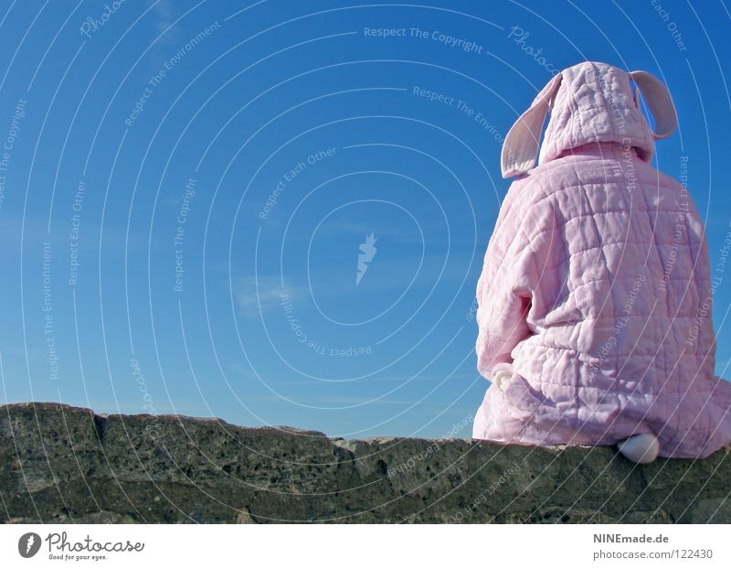 HasenMission | 2008 - warten Hase & Kaninchen Ostern rosa weiß Mauer Quaste kuschlig himmelblau Aussicht genießen schön Physik Denken Dinge Hasenohren Freude