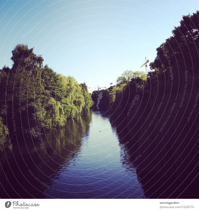 das ziel vor augen. Ausflug Natur Wasser Wolkenloser Himmel Sommer Schönes Wetter Baum Sträucher Flussufer Kanal Hamburg dunkel Flüssigkeit blau grün Abenteuer