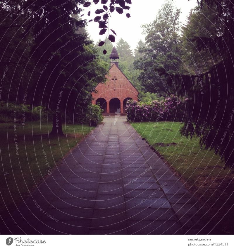 im turm sitzt ein uhu. Trauerfeier Beerdigung Natur Tier Sommer Baum Sträucher Garten Park Wiese Wald Hamburg Gebäude Architektur Wege & Pfade dunkel ruhig