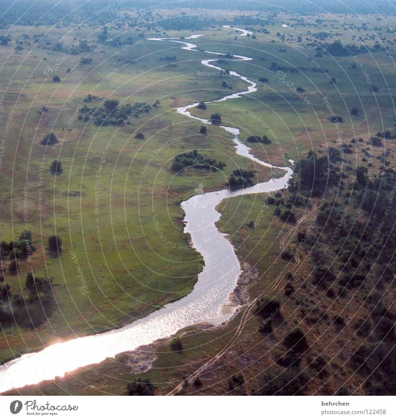 lebenslinie Vogelperspektive Ferien & Urlaub & Reisen Ferne Freiheit Safari Luftverkehr Natur Landschaft Wasser Wärme Baum Flussufer Bach Okavango Botswana