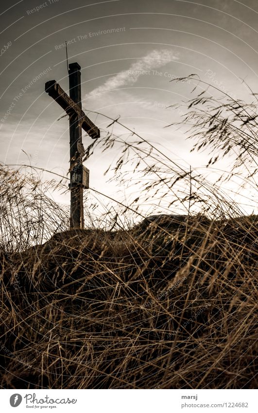 Am Ziel? Religion & Glaube Natur Herbst Gras Berge u. Gebirge Gipfel Kreuz Gipfelkreuz dunkel Traurigkeit Sorge Trauer Tod Respekt dankbar Befreiung Erlösung