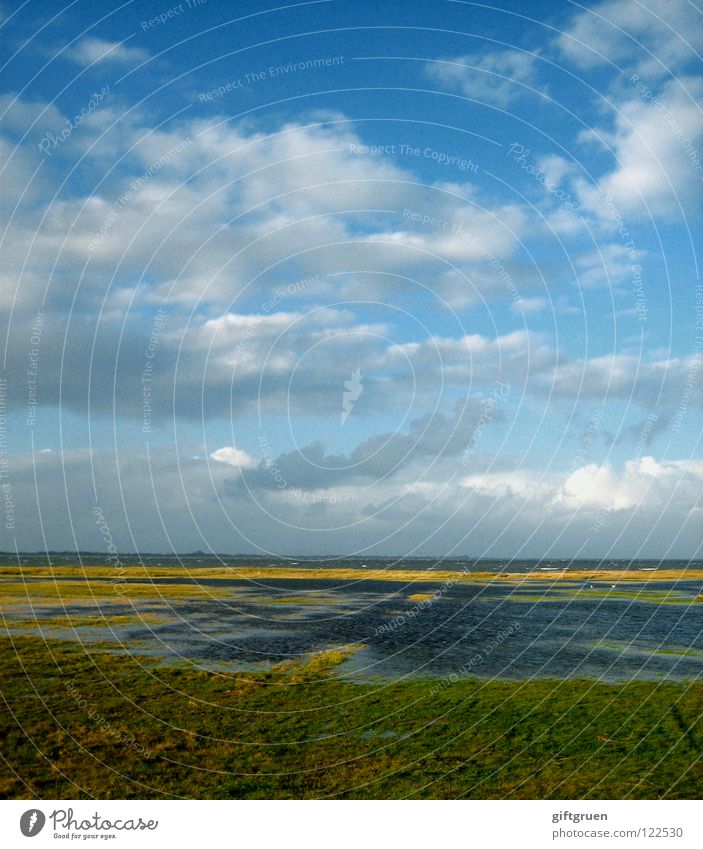 nordsee Herbst Sturm Leidenschaft Herbstlandschaft Küste mehrfarbig Jahreszeiten Strand Meer Wolken Oktober November schlechtes Wetter Wiese Gras