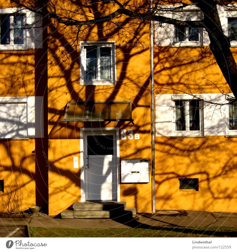 GEL83B Haus Baum Briefkasten Tür Eingang Fenster Rollladen 83b Schatten Ast