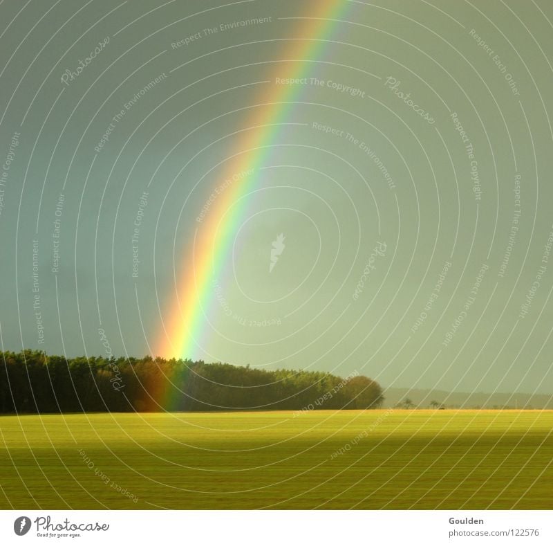 0815 Regenbogen Feld Raps Wald ökologisch Götter Religion & Glaube Hoffnung Frieden Landschaft Wetter Ferne Natur Bioprodukte Ökofeld Kitsch