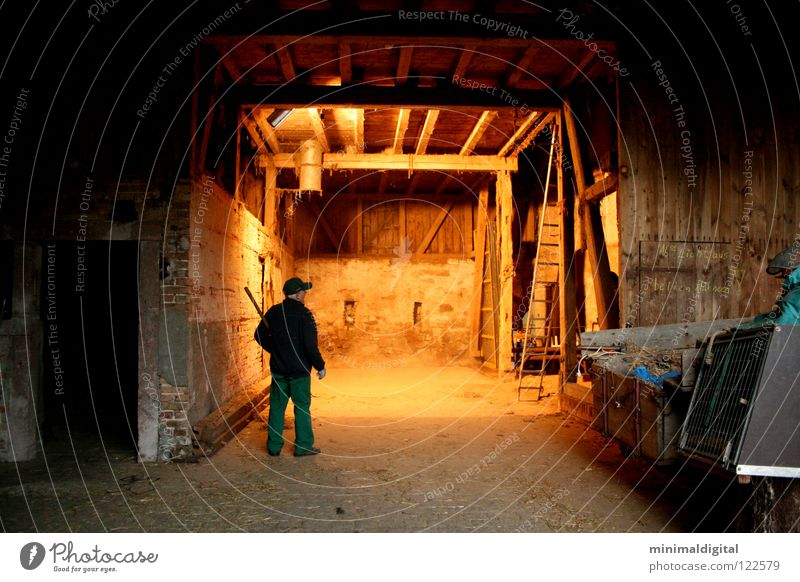 Licht aus.. dunkel Erkenntnis Landwirt Forke Holz Bauernhof Staub Haushuhn Mütze Stroh Senior Schatten hell Tor dreckig Lampe Kontrast