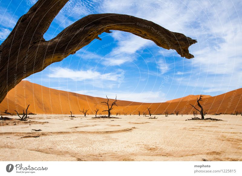 Tal des Todes #2' Ferien & Urlaub & Reisen Tourismus Ferne Safari Umwelt Natur Landschaft Erde Sand Himmel Wolken Klima Klimawandel Wärme Dürre Pflanze Baum