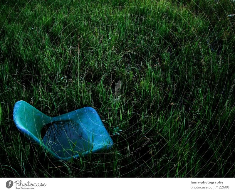 Freiluft-Kino Sitzgelegenheit Platz Sessel hocken Stadion ausgemustert Moor See Wiese Teich untergehen Biotop nass Gras Halm Pflanze Umwelt Umweltverschmutzung