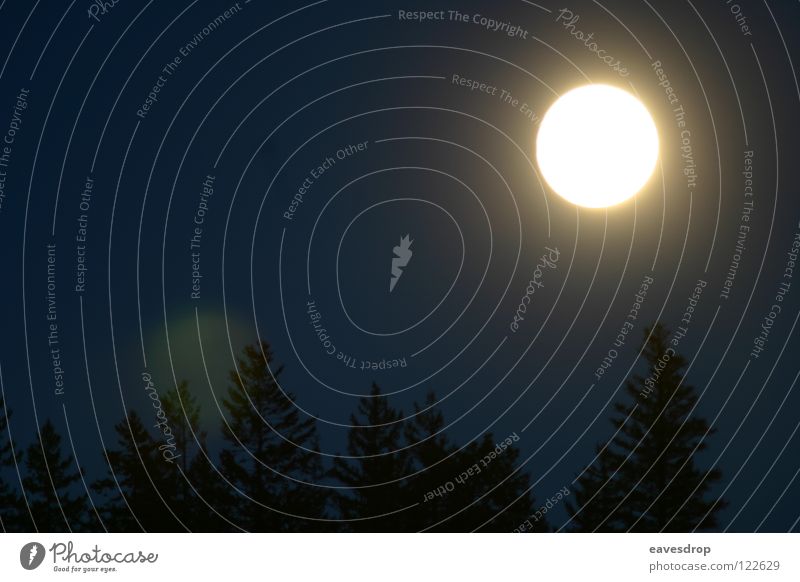 coast mountains moon light1 Gegenlicht Vollmond Wald Baum Nacht Wetter Mond Natur Landschaft