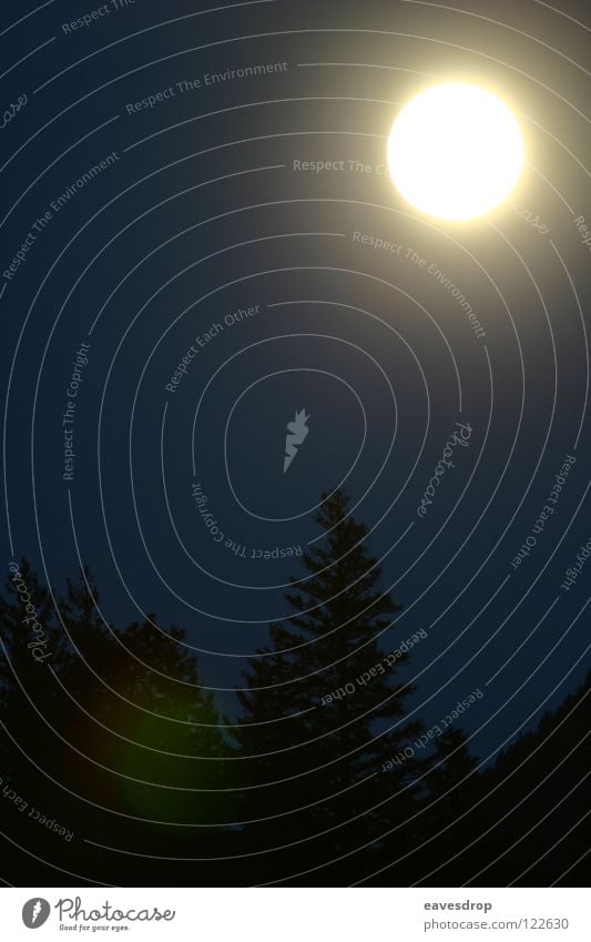 coast mountains moon light2 Gegenlicht Vollmond Nacht Wald Baum Himmelskörper & Weltall Mond Natur Landschaft