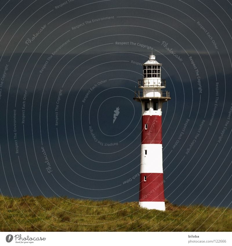 Leuchtturm III Herbst Orientierung begleiten Begleiter sozial gehen Nebel Möwe Meer grün dunkel Licht Strahlung Horizont ungewiss Fernweh Trauer führen Richtung