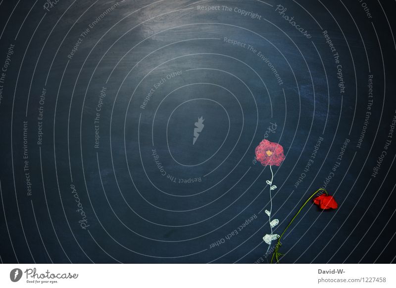 art Kunst Künstler Maler Ausstellung Museum Kunstwerk Gemälde Umwelt Natur Landschaft Pflanze Klima Klimawandel Wetter Blume Blatt Blüte Duft eingehen Tafel