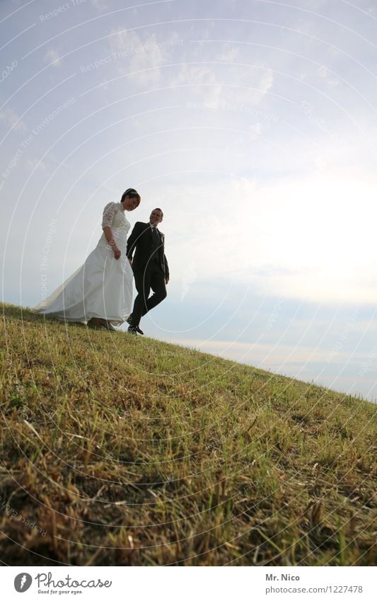 wandertag Lifestyle Hochzeit maskulin feminin Paar Partner 2 Mensch Umwelt Natur Landschaft Schönes Wetter Gras Wiese Hügel Kleid Anzug gehen Glück