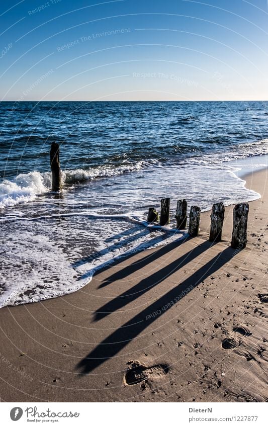 Lange Schatten Strand Meer Natur Landschaft Sand Wasser Horizont Schönes Wetter Wellen Küste Ostsee blau braun schwarz weiß Kühlungsborn Mecklenburg-Vorpommern