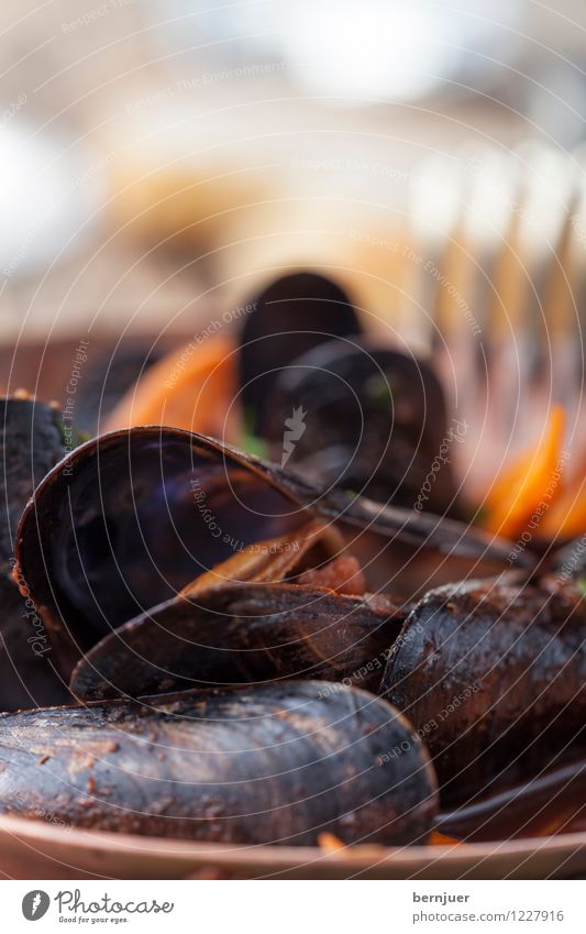 Miese Muscheln Fleisch Meeresfrüchte Gemüse Ernährung Teller Schalen & Schüsseln Besteck Gabel Restaurant Holz saftig schwarz Miesmuschel Schalentier gesund